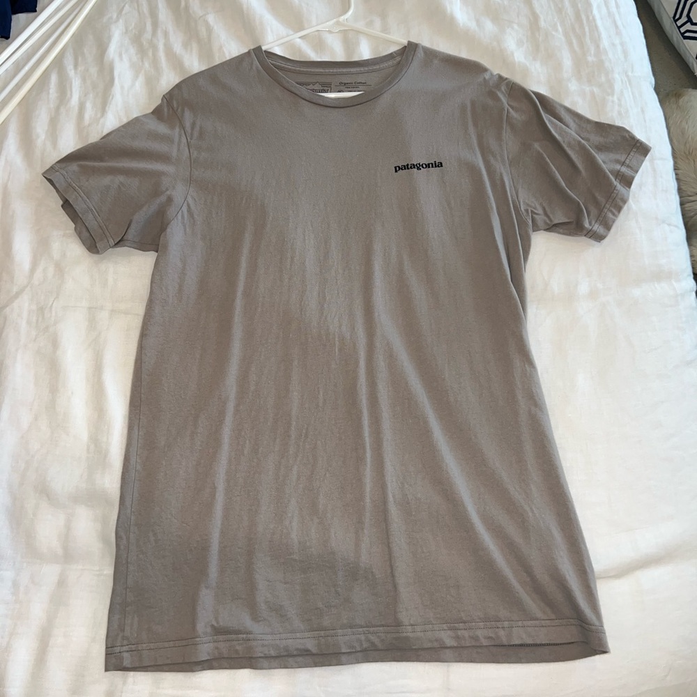 Patagonia Mens tshirt
